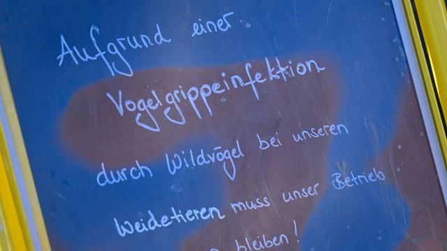 Tierseuche: Geflügelhalter: Bundesweite Stallpflicht gegen Vogelgrippe