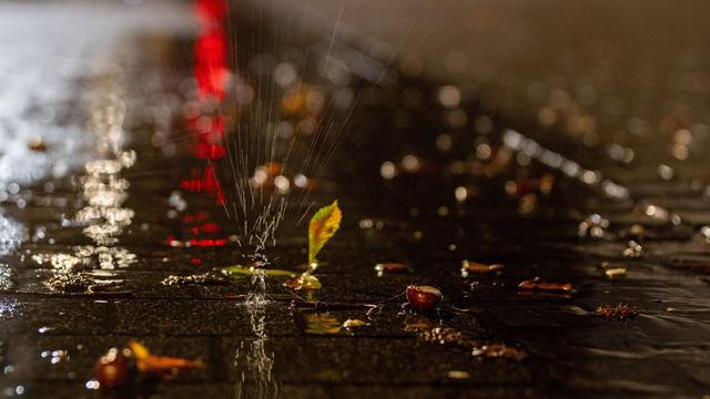 Wetter: Nasses Herbstwetter in Rheinland-Pfalz und Saarland