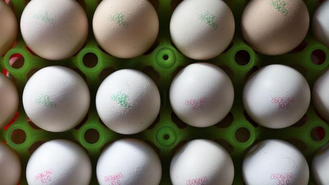 Vogelgrippe: Bayerns Geflügelwirtschaft warnt vor steigenden Eierpreisen
