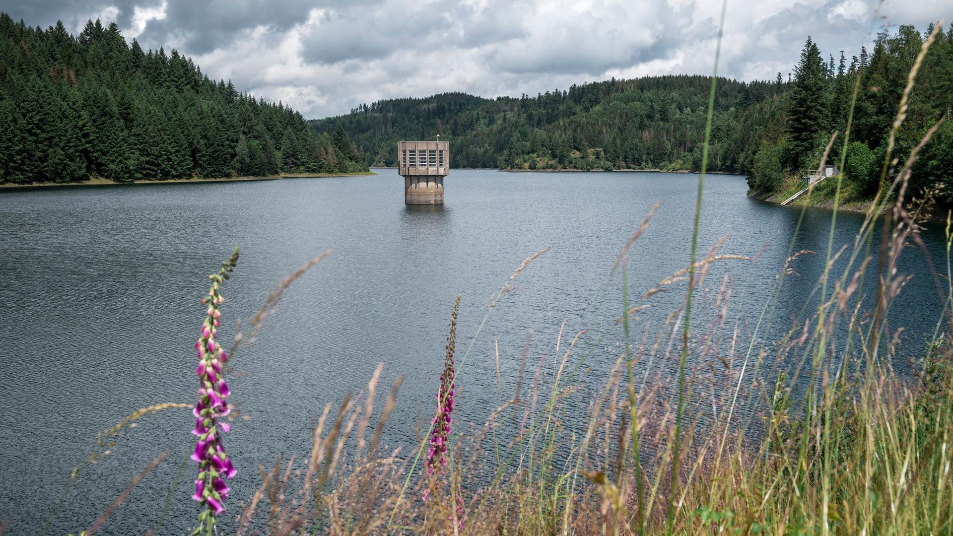 Im Zuge des Klimawandels: Bodensee bei Plänen für künftige Wasserversorgung raus