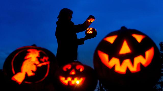 Freizeit: Halloween: Hundeschulen laden zu Gruselspaß und Rätseltouren