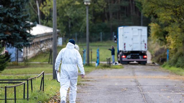 Tierseuche: Stallpflicht in mehreren Kreisen wegen Vogelgrippe