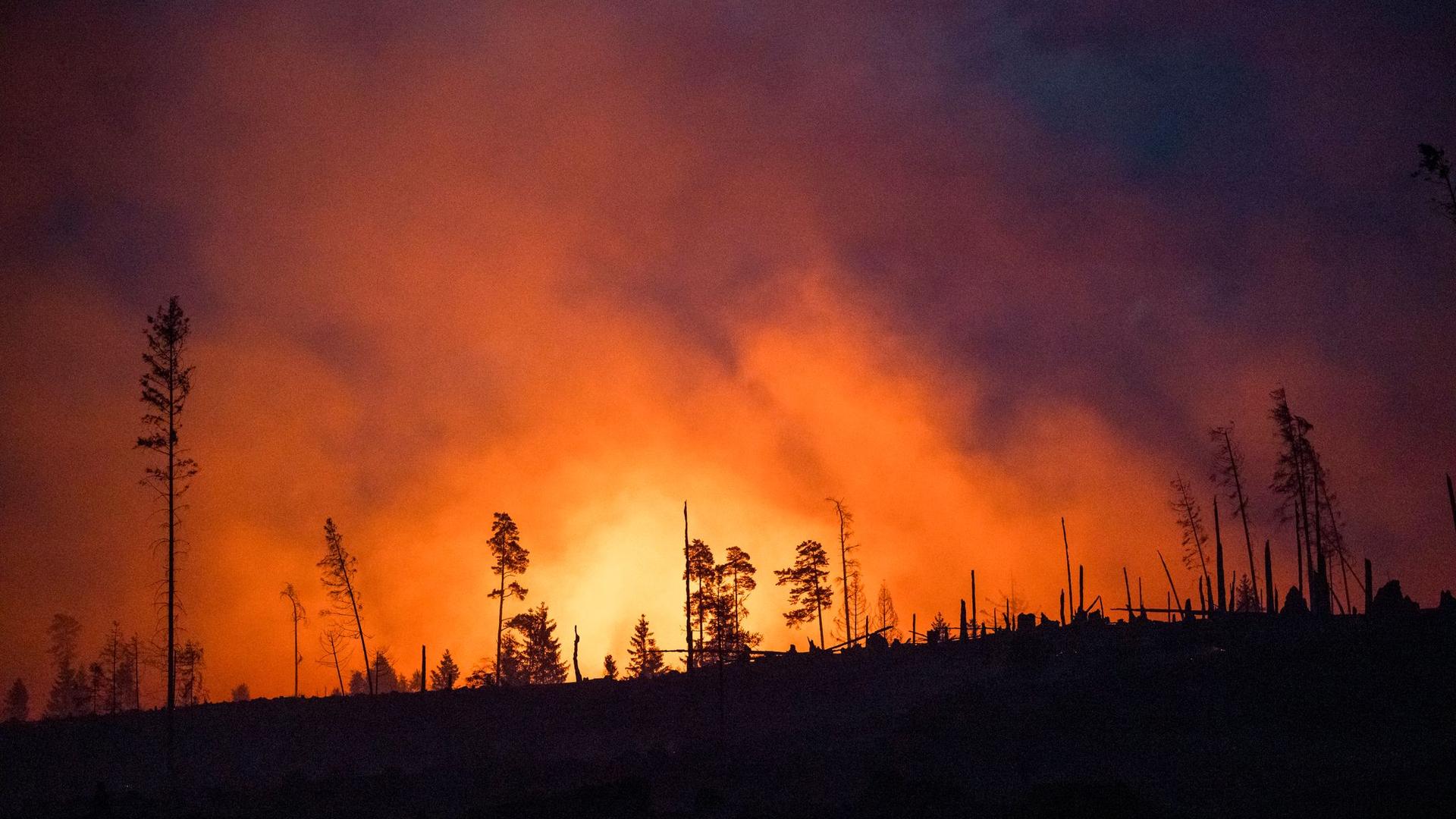 Klimakrise: Erde am Limit – Klimakrise kostet Millionen von Leben