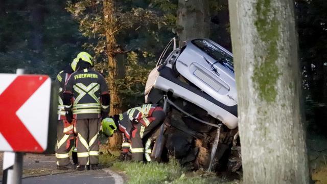 Unfallstatistik: Weniger tödliche Unfälle an Straßenbäumen in Brandenburg