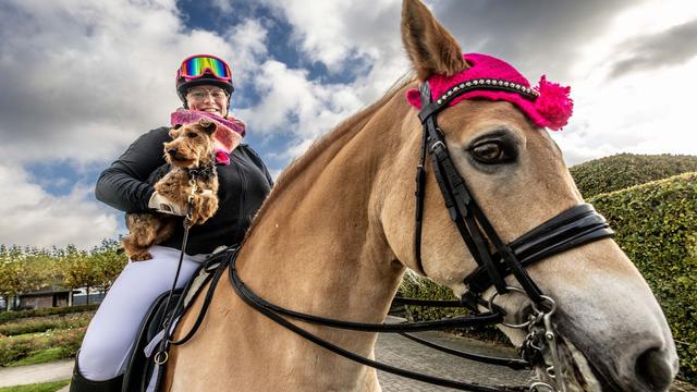 Besuchermesse in Dortmund: Hunden und Pferden gehört Bühne - Wettbewerb im Dog Dancing