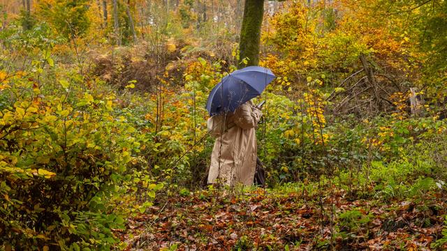 Wetterbilanz: Oktober in Hessen zu trüb und zu warm