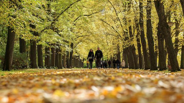 Bilanz des DWD: Warmer Oktober in Sachsen-Anhalt