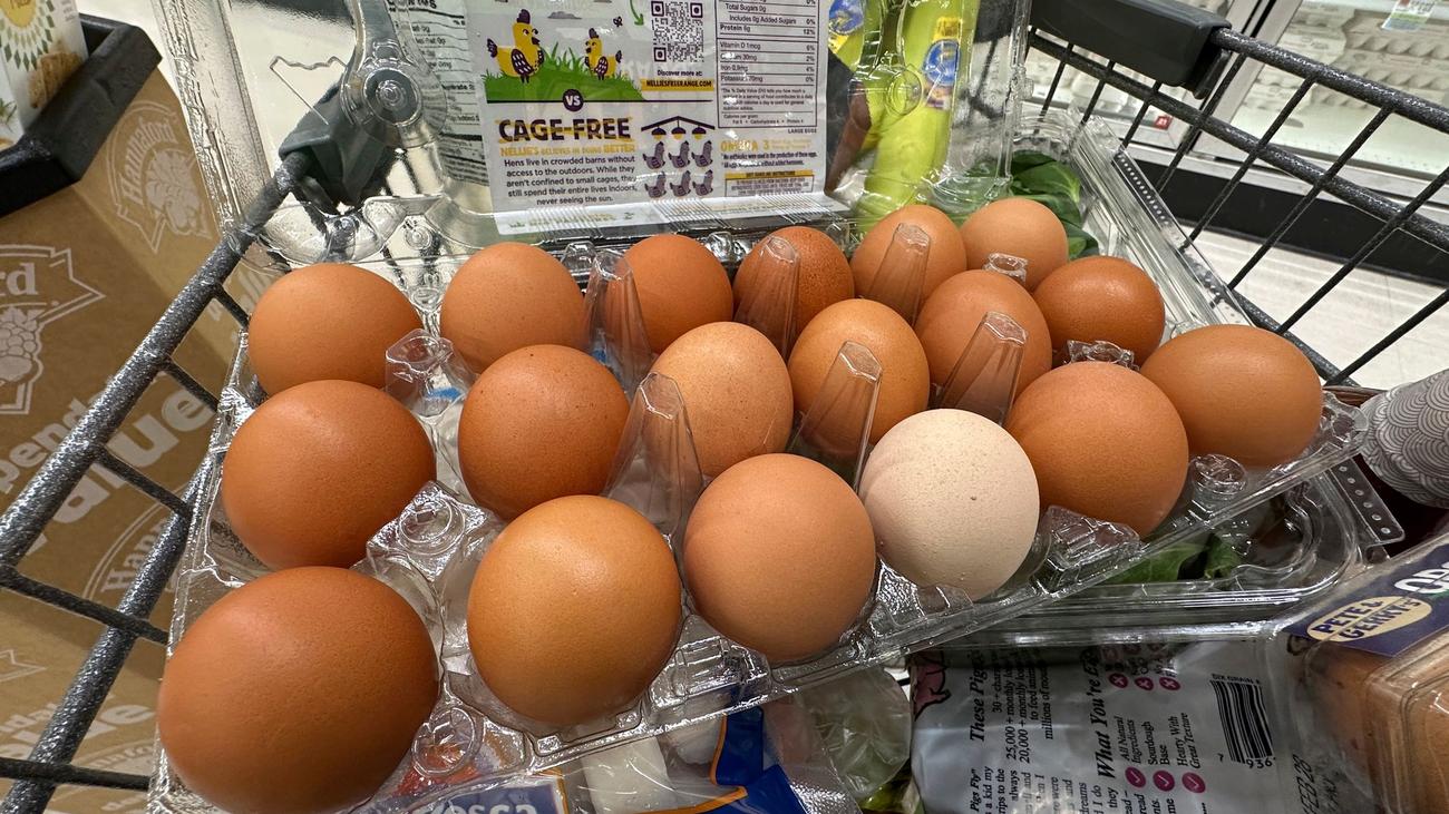 Haushaltsstreit: Shutdown: Amerikaner können doch auf Lebensmittelgeld hoffen