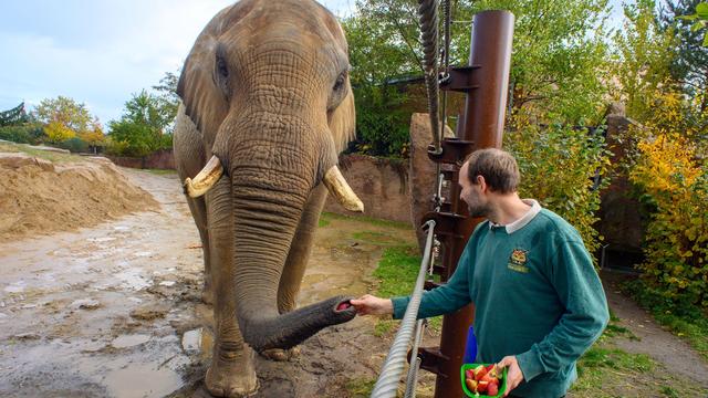 Tiere: Zoos in Sachsen-Anhalt feiern Aktionstag