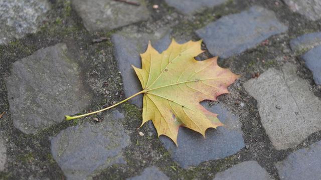 Wetter: Außergewöhnlich milde Herbstwoche im Norden erwartet