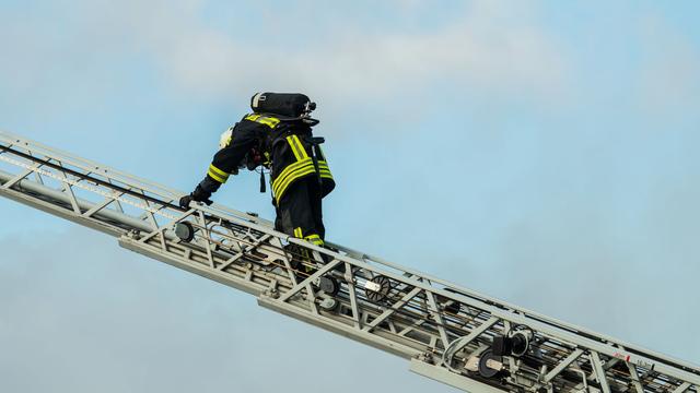 Weggeflogen: Feuerwehr rettet Papagei mit Drehleiter vom Dach