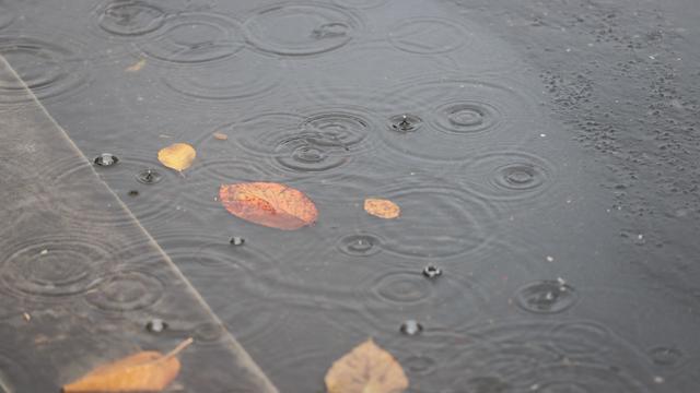 Wetter: Kaltfront bringt Wolken, Schauer und kurze Gewitter
