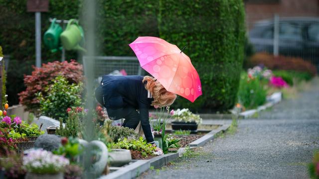 Wetter: Regenschirm, Sonne-Comeback, Nebel: So wird das Wetter