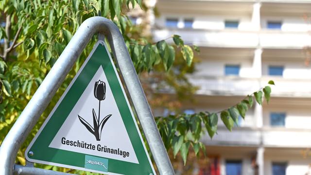 Klimapolitik: Berliner Abgeordnetenhaus beschließt Baumgesetz