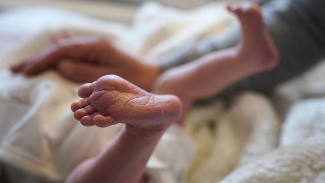 Sozialbetrug: CDU befürchtet in Hamburg Betrug mit Scheinvaterschaften