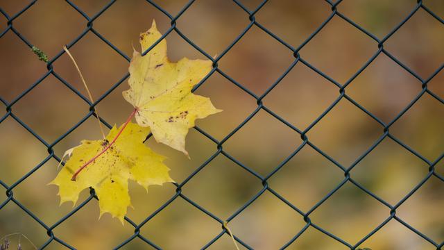 Wetterausblick zum Wochenstart: Hoch bringt nach Regen wieder Sonne nach Baden-Württemberg