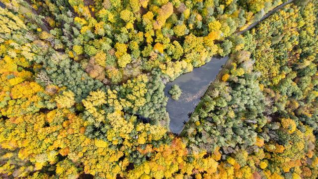 Milde Herbsttage: Sonne und milde Temperaturen prägen Wochenstart in Hessen