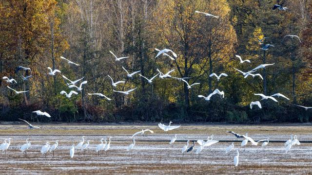 Wetteraussichten: Wechselhaftes Wetter in Berlin und Brandenburg erwartet