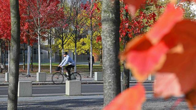 Nächtlicher Frost möglich: Mildes Herbstwetter in Berlin und Brandenburg
