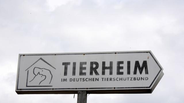 Tierschutz: Tierheime in Sachsen erhalten höhere Zuschüsse