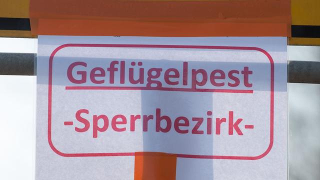 Tierseuche: Was man zur Vogelgrippe in Bayern wissen sollte