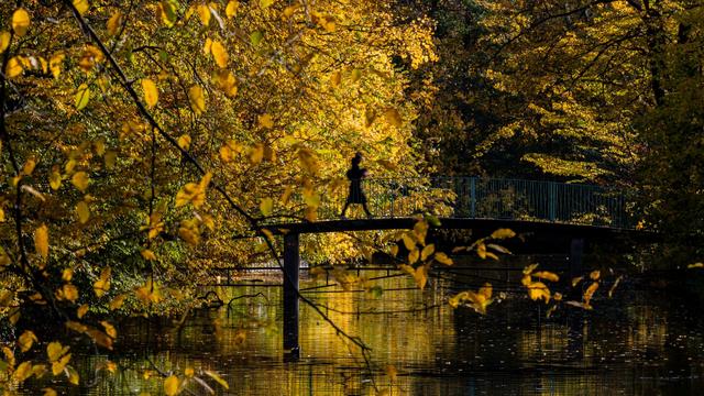 Wetter: Mildes Herbstwetter bringt Sonne und Frost nach NRW