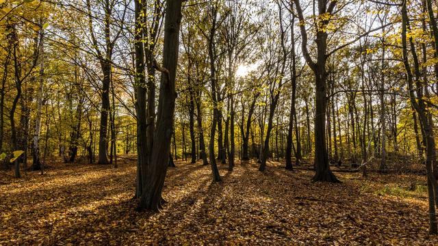Wetter: Mildes Herbstwetter