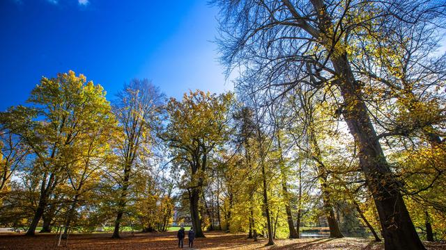 Wetter: Ruhiges und mildes Herbstwetter im Norden
