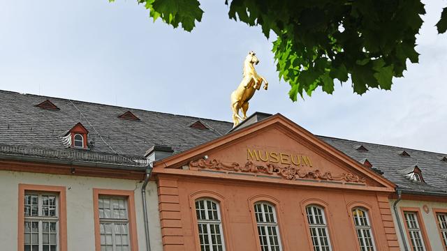 Fußball: Landesmuseum Mainz sucht Ausstellungsstücke zu Fußballkultur