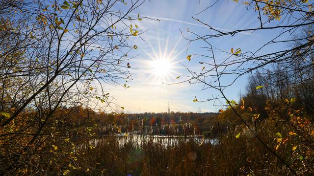 Nur erster Schritt: Schleswig-Holstein weist neue Naturschutzgebiete aus