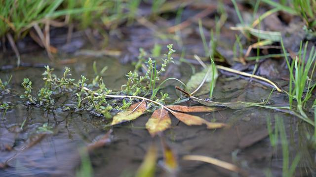 Wetter im Norden: Zum Wochenende wird es oft ungemütlich