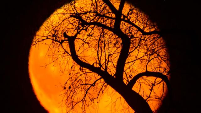 Fotografie: Bilder des Tages