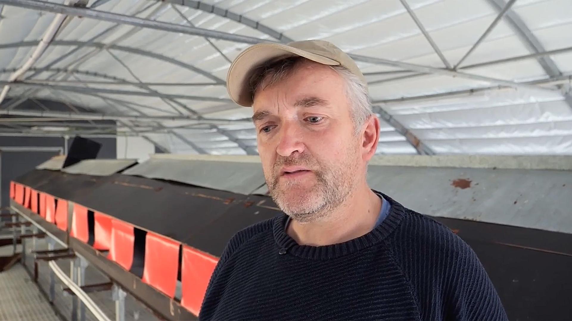 Bei Bremen: Geflügelpest-Ausbruch ist für Landwirt eine Katastrophe