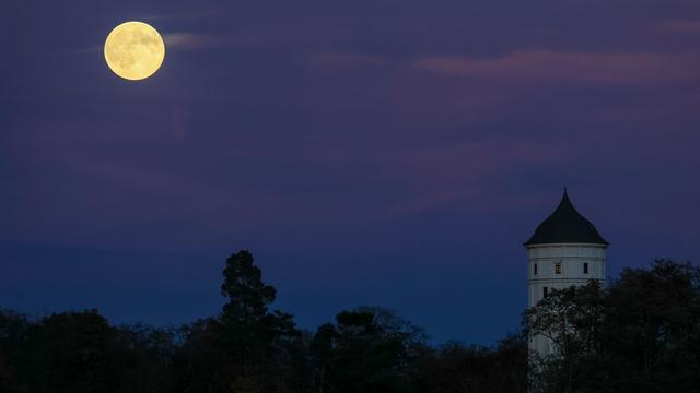 Wetter: Sonne, Nebel und Wind – Herbstwetter in Sachsen