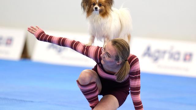 Messe Hund und Pferd: Tanzende Hunde wetteifern um Meistertitel