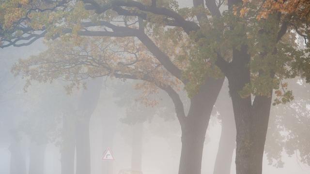 Wetter: Trübes Wochenende in Berlin und Brandenburg