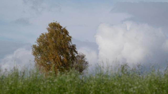 Mittwoch sonnig: Nebliger Wochenstart in Rheinland-Pfalz und Saarland