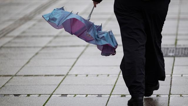 Wetter: Schirm für den Spaziergang - Leichter Regen am Sonntag