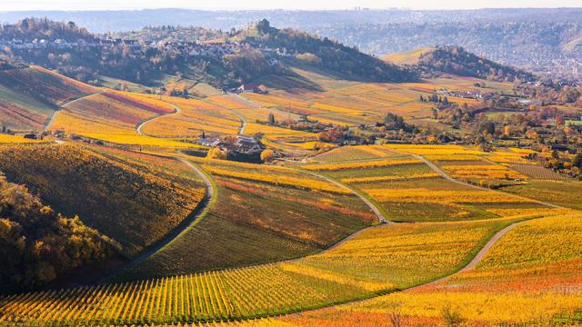 Wetter: Endlich wieder Sonne? - Neue Woche startet meist freundlich