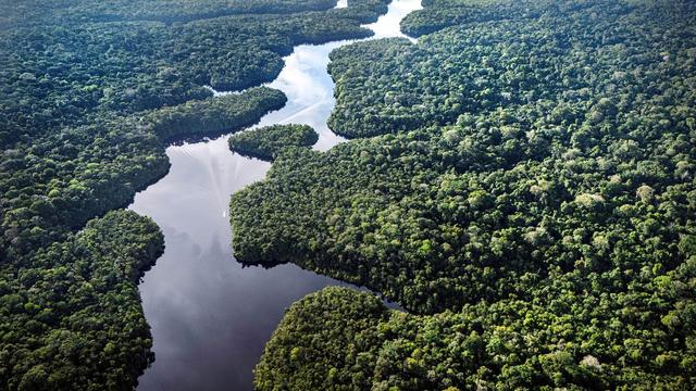 Weltklimagipfel: Krisentreffen am Amazonas – Was bringt die Klimakonferenz?
