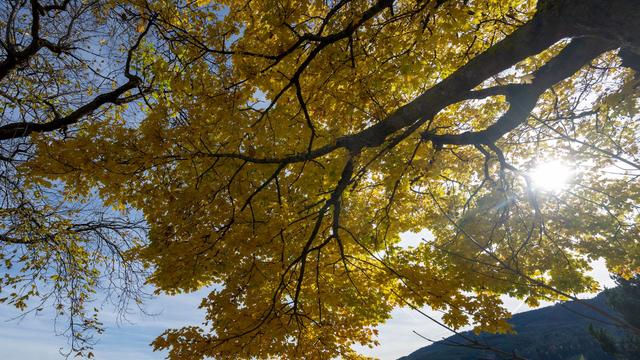 Wettervorhersage: Sonnige Tage mit bis zu 20 Grad stehen Bayern bevor