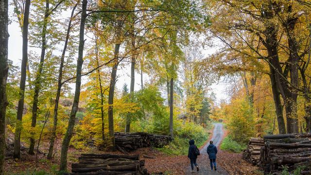 Wetter: Bis zu 16 Grad in Hessen erwartet