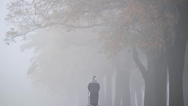 Nächtlicher Nebel: Trübes und regnerisches Wetter in Berlin und Brandenburg