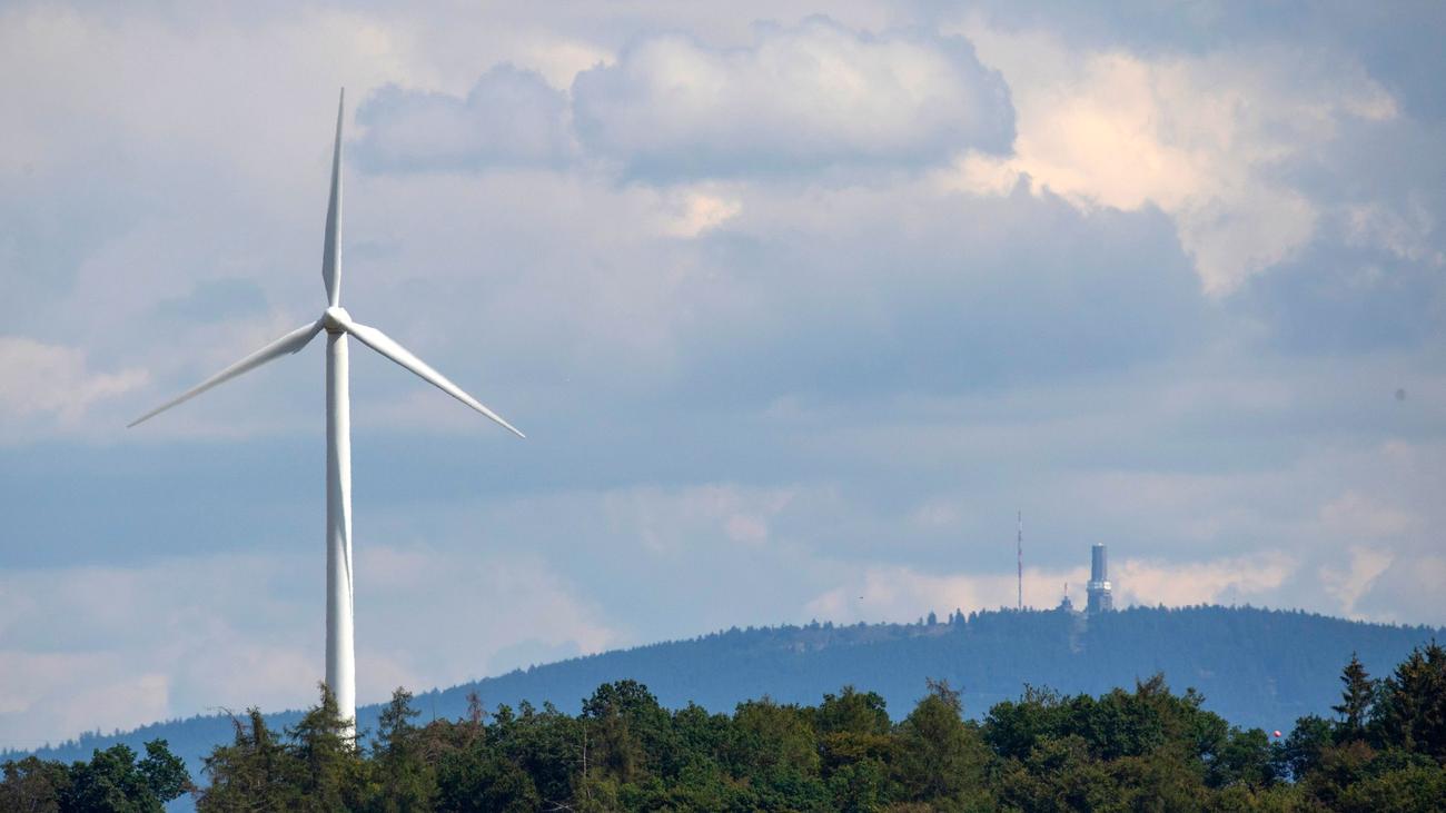 Erneuerbare Energien: Windkraft im Staatswald bringt 10,7 Millionen Euro