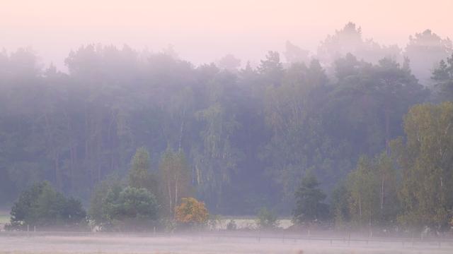 Wetter: Auf Nebel folgt heiteres Wetter in Berlin und Brandenburg