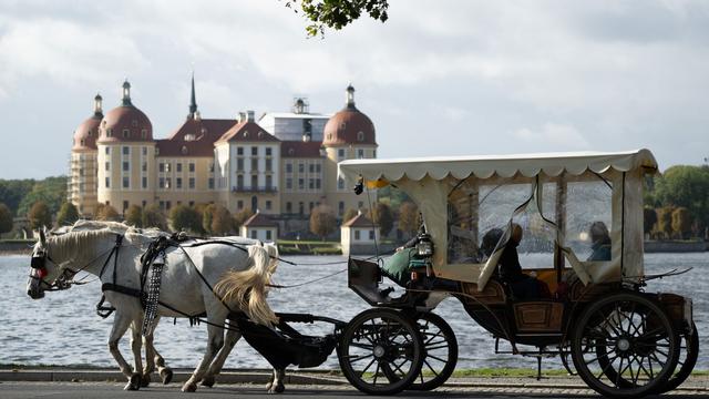V Nemčiji voznik avtomobila trčil v kočijo, voznik kočije in konj sta bila poškodovana