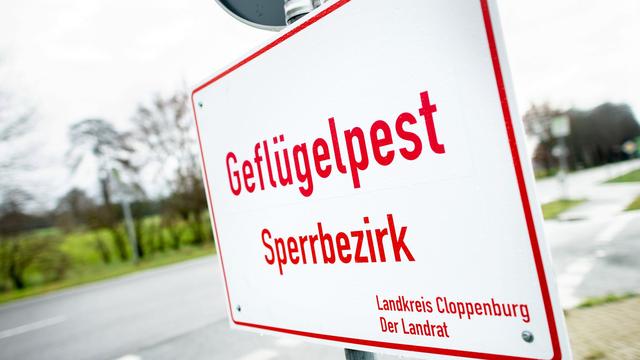Niedersachsen: Geflügelpest in weiteren Betrieben festgestellt