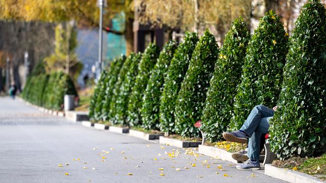Wetter: 21 Grad in Südbayern - November verwöhnt mit milden Tage