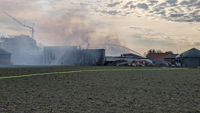 Großeinsatz: Brand auf Geflügelhof: 27.000 Hühner verendet