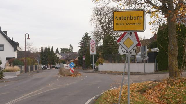 Raubkatze: Rätselraten um mutmaßliche Großkatze in Rheinland-Pfalz
